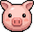 可愛台糖小豬